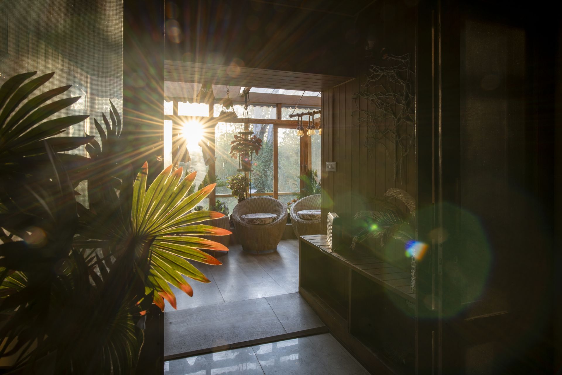 Room Detail